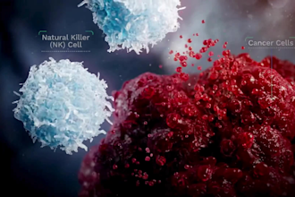 do 3d medical animation 3d anatomy 3d healthcare explainer videos
