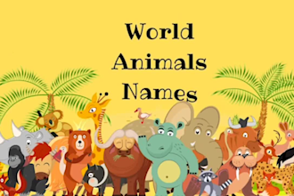 create understandable kids learning videos