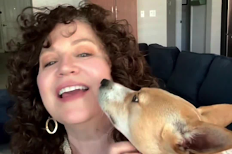 create dog ugc videos for pet brands toys treats and more