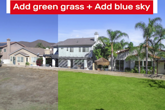 replace grass, blue sky professionally fast turnaround