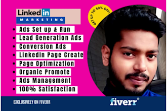set up linkedin ads campaign, manage and optimize