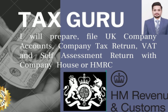 file UK company accounts, vat and self assessment return with hmrc