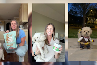create pet ugc videos with my dog for tiktok instragram