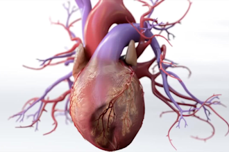 do 3d medical animation cad moa 3d biotech scientific pharma 3d biomedical video