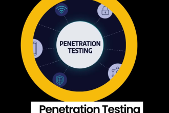 conduct penetration testing and vulnerability assessment