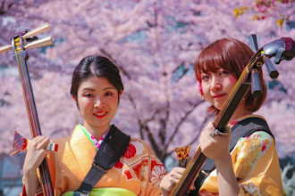 record cinematic shamisen, koto, shakuhachi and japanese instruments for anime