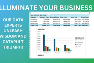 do data management , cleaning and analysis in excel