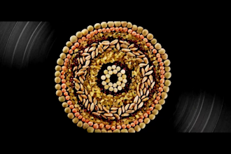 edit food videos with text, transition, music