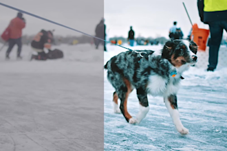 do premium color grading,video editing and color correction