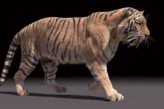 do realistic 3d animal animation cgi animal model rig fur vfx lion for film