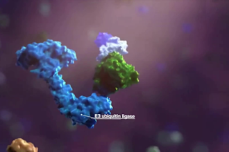 do 3d medical animation oncology pharma moa biotech scientific explainer video