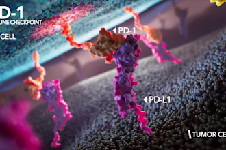 do 3d medical animation 3d cell moa pharma biotech scientific 3d explainer video
