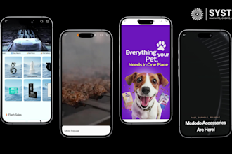 do website and app promo video