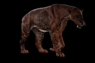 render realistic 3d animal model animal rigging 3d animation vfx xgen hair fur