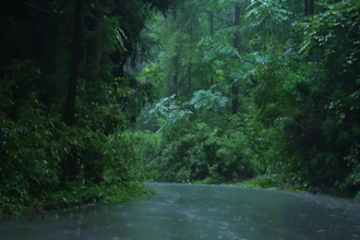 make 3 hours HD original rain video with relaxing and nature sounds