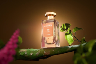 create stunning 3d perfume animations for your brand