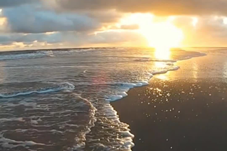 edit instagram facebook reels, youtube,shorts and tiktok