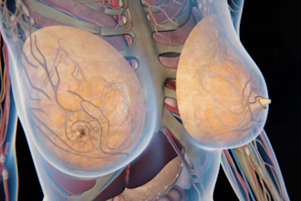 create 3d medical animation 3d anatomy animation 3d product model 3d animation
