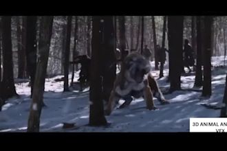 do realistic 3d animal animation, cgi animal model, 3d rig, texture, fur, xgen
