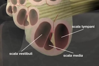 do 3d medical animation, medical video anatomy, , surgery medical animation