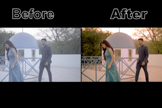 do professional color correction, grading by davinci resolve and premiere pro