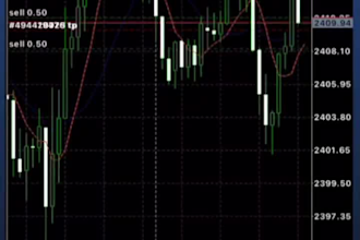 setup profitable ROI forex trading robot, forex trading bot, scalping, gold ea