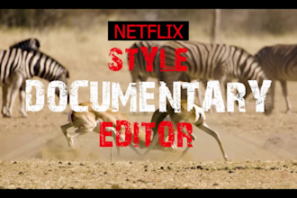 edit  netflix documentary style videos for youtube