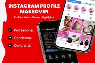 do a professional instagram profile makeover and feed design