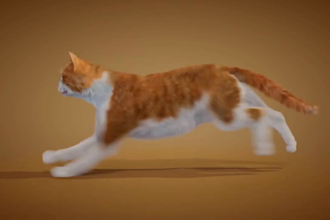 integrate 3d cgi animal animation, 3d model 3d cat rigging 3d animalgrooming fur