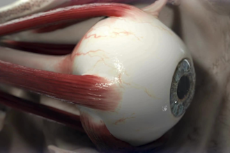 create 3d medical animation, ophthalmology eye surgery animation, medical device