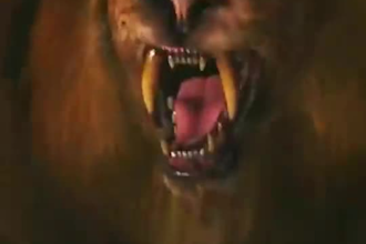 do realitic fur 3d animal animation 3d model animal animation cgi animal product