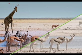 documentary color grading your video