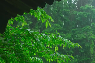 create meditation relaxing rain video thunder nature sounds cozy rain
