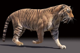 do realistic 3d animal animation, cgi animal mode rig, fur, texture, groom