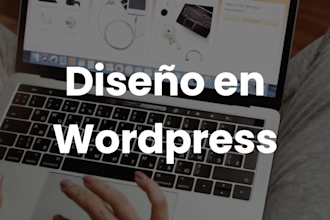 professional website and wordpress development