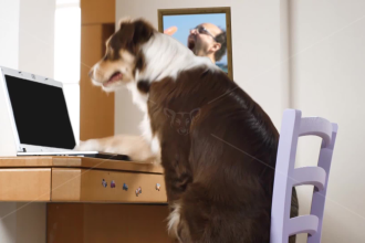 make this funny promo with a dog dreaming about your product