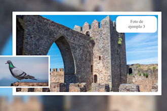 create a photo and video slideshow with adobe after effects