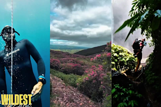 professionally edit travel video and vlog editor, shorts and reels