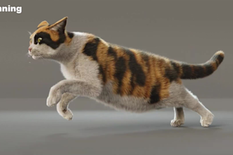 create and render realistic 3d animal animation, 3d animal model fur rigging vfx