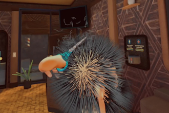 develop and design VR applications and virtual reality games