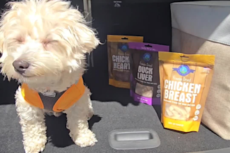 create ugc video ads with my pet for your product
