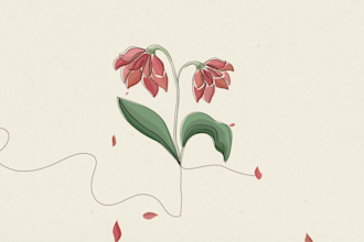 draw minimalist animations with continuous lines