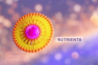 create professional high quality 3d 2d medical animation video