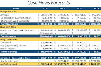 develop financial forecasts and financial projections
