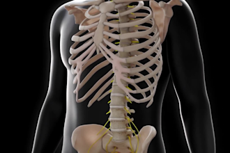 create 3d spine surgery orthopedic implant and musculoskeletal animation