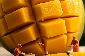create food photography, ai food photography, food video editing, miniature ai