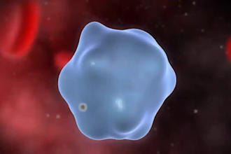 create 3d medical device animation, 3d medical explainer video