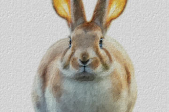 make realistic watercolor portrait of your pets
