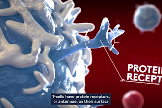 create 3d car t cell therapy biotech and medical animation explainer video