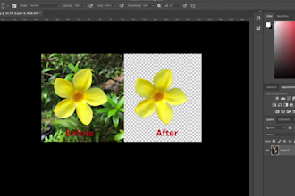 clear background and white clippingpath transparent service